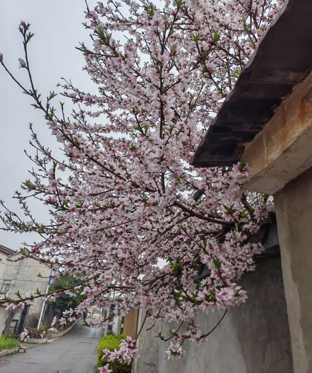 江宁区淳化梅龙湖幼儿园 朱聪《烟雨乡村》4