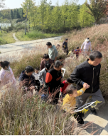 779f489bb81084c019bab027b08ec4f8_750