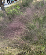 49833767d0a99e1d62c5aea46cd51ecb_750